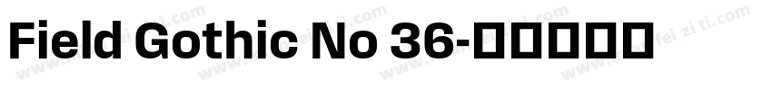 Field Gothic No 36字体转换